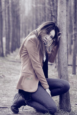 cctv绝密543免费观看